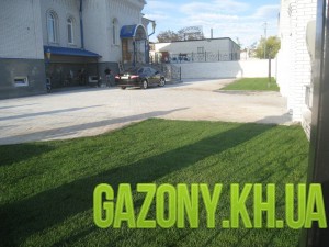 Примеры наших работ по укладке газона